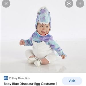 Dinosaur costume baby